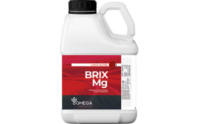 Brix Mg