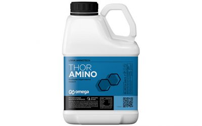 Thor Amino