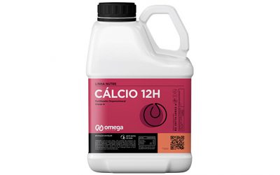 Cálcio 12H
