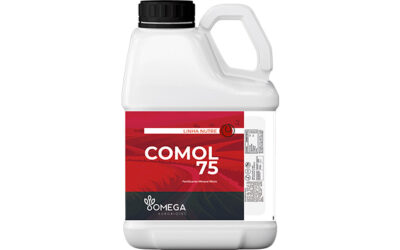 Comol 75